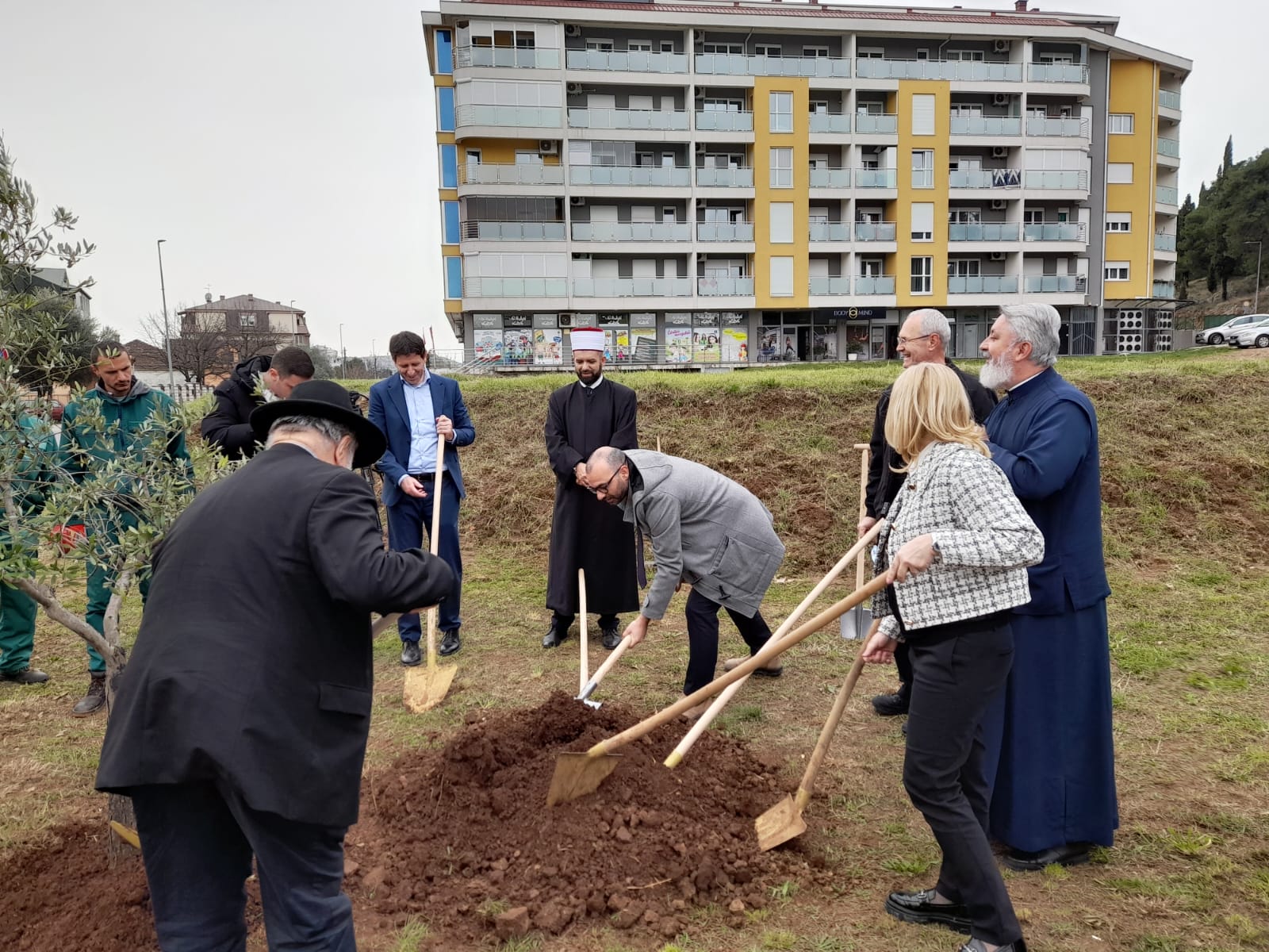 Posađene masline ispred četiri vjerska objekta u glavnom gradu